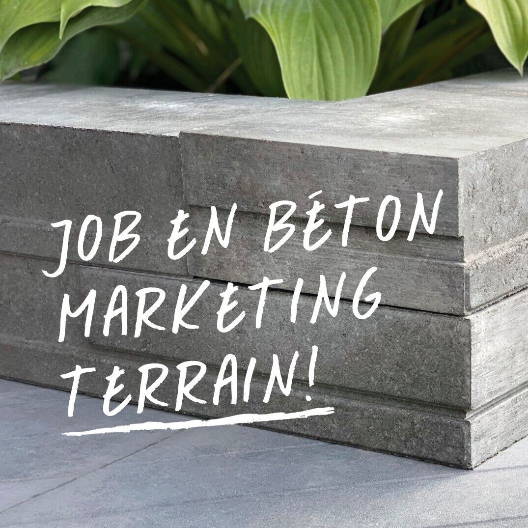 Spécialiste marketing terrain